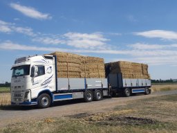 Transporte
